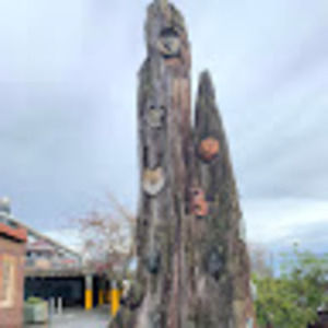 Meet your Posher, Han